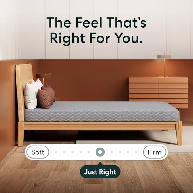 Siena 6" Queen Foam Mattress - Medium Firm - 180 Night Trial - Premium Pressure-Relieving Layers - 10 Year Warranty - Mattress in a Box - CertiPUR-US Certified