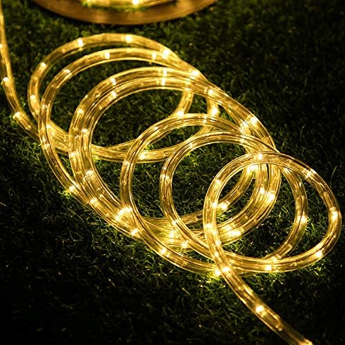 100 Feet 720 LED Rope Lights,2-Wire Low Voltage Waterproof Rope Lights Outdoor,Indoor Background Lighting Idear for Trees,Bridges,Eaves,Pool,Wedding Use(Warm White)
