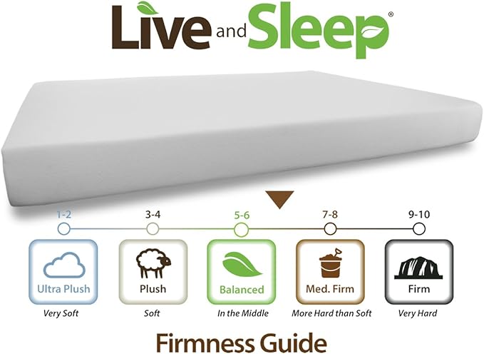 Live and Sleep Resort Classic - RV Short Queen Memory Foam Mattress - 10-Inch Bed in a Box - Medium Firm, CertiPUR Certified - Trailer/Camper/Trailer, Motorhome, RV Short Queen Size