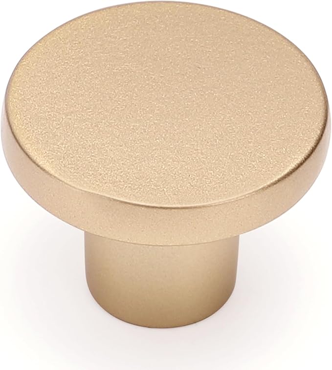Ravinte 1 Pack Cabinet Knobs Champagne Gold Kitchen Cabinet Knobs Round Dresser Drawer Pulls Closet Door Pulls 1-1/5 Inch