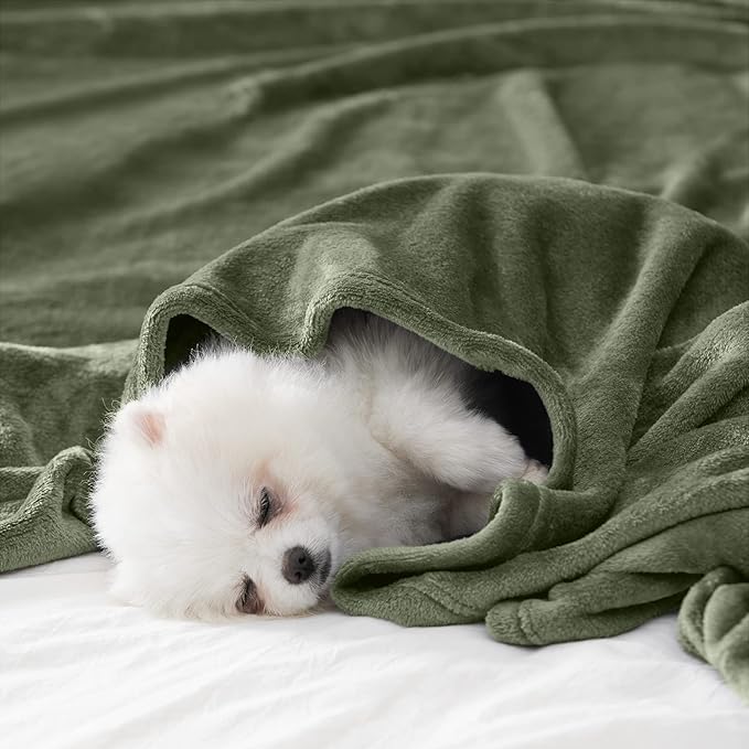 BEAUTEX Fleece Blanket Queen Size Super Soft Flannel Throw Blanket Lightweight Fuzzy Plush Blanket for Couch Sofa or Bed All Seasons (Olive Green, 90" x 90")