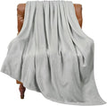 BEDELITE Fleece Blanket Light Grey Throw Blankets for Couch & Bed, Luxury Plush Cozy Fuzzy 50x70 inches, Super Soft Warm Lightweight Throw for Travel Camping
