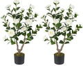 GOFLAME 3FT Artificial Camellia Tree, 2 Pack Faux Camellia Plant with White Flowers, Solid Wood Trunk, Realistic Moss, Greenery Potted Decoration Tree for Indoor Outdoor Home Porch Front Door