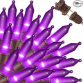 LAMPHOME Super-Bright Extendable Purple Christmas Lights Decoration 150Lights 31.9ft UL Certified Mini Bulb String Lights Set for Outdoor Halloween Home Christmas Tree Garden Holiday Party Patio Decor