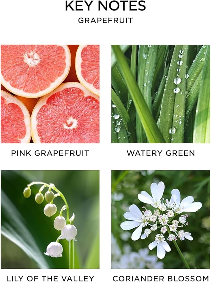 NEST New York Smart Home Fragrance Diffuser Refill Smart Vials, Grapefruit - Set of 2 - Designed for NEST x Pura 3 and NEST x Pura 4 Diffusers - Cruelty Free, Vegan