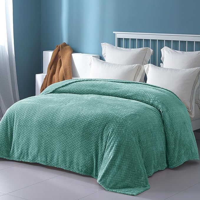 Exclusivo Mezcla Fleece Queen Size Blanket for Bed, 90x90 Inches Soft Cozy Jacquard Flannel Blankets, Lightweight Fuzzy Plush Warm for Winter, Celadon
