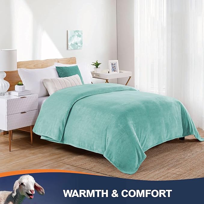 Walensee Fleece Blanket Plush Throw Fuzzy Lightweight (Twin Size 60x80 Light Blue) Super Soft Microfiber Flannel Blankets for Couch, Bed, Sofa Ultra Luxurious Warm and Cozy for All Seasons