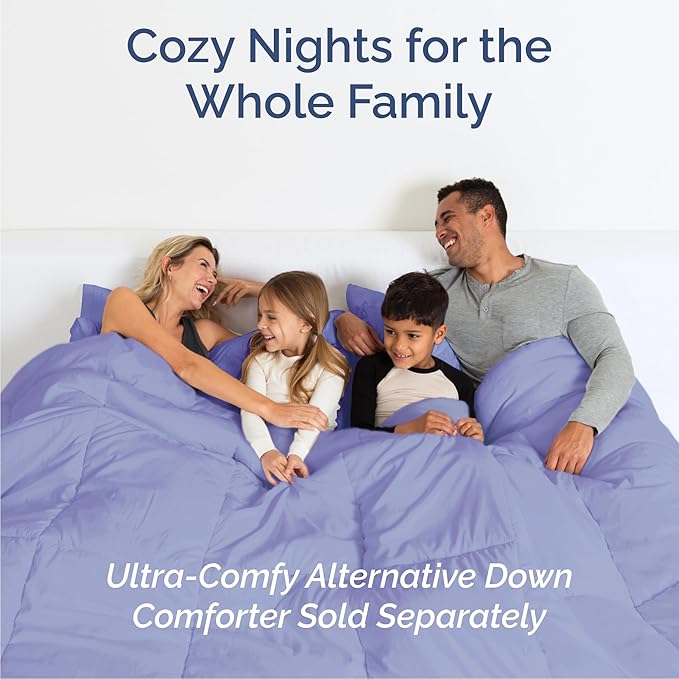 Queen 6 Piece Sheet Set - Comfy Breathable & Cooling - Ultra-Soft Hotel Luxury Bedding Set with 8-16 Inch Deep Pockets - 1 Flat & 1 Fitted Sheet & 4 Pillowcases - Wrinkle Free & Easy Care - Lavender