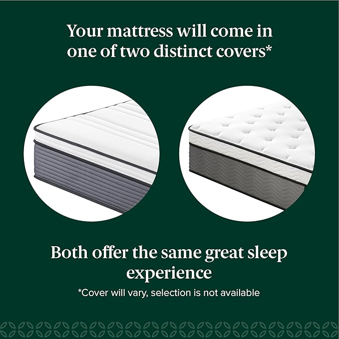 ZINUS 12 Inch True Support Hybrid Mattress [New Version], Twin, Fiberglass Free, Medium Feel, Motion Isolation, Certified Safe Foams & Fabric, Mattress in A Box