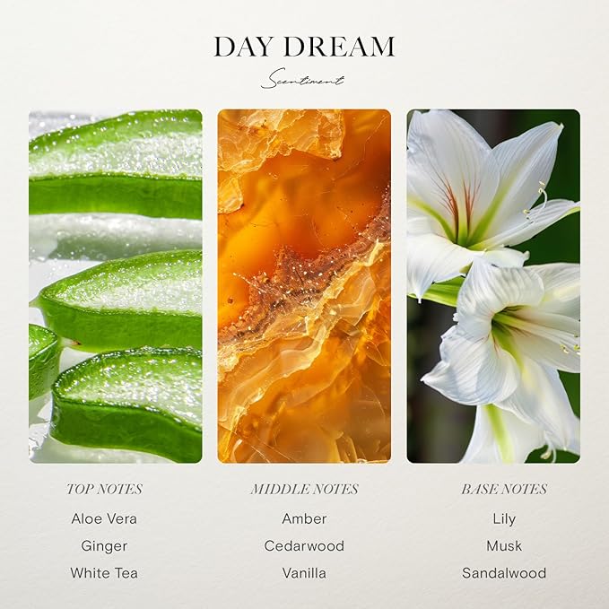 Scentiment Diffuser Oil - Day Dream | Inspired by Luxury Five Star Hotel White Tea Scent | Aromatherapy Home Fragrance| Luxurious Scent with Notes of Aloe Vera, Cedar, White Tea (50ml)