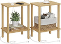 TUTOTAK End Table with Charging Station, Set of 2, Small Side Table with Outlets, Nightstand Bedside Table, 2-Tier Storage Shelf for Small Space, Living Room, Bedroom Natural TB01BN041