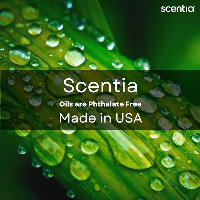 Scentia Hotel Diffuser Oil Inspired by 5-Star Hotel Scent - 50 mL 1.69 fl oz - Essential Oil Blend Botanical Jasmine, Bergamot & Fresh Marine Notes Aromatherapy Diffusers - Cabana, Thanksgiving Gift