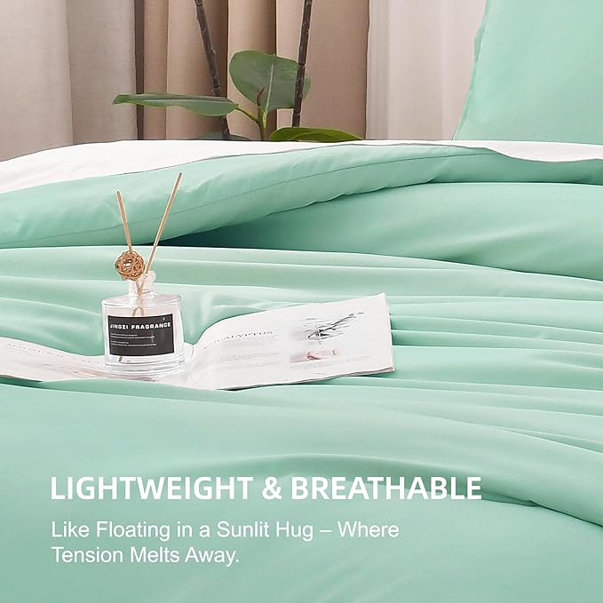 Litanika Comforters Mint Green Queen Size, 3 Pieces Lightweight Solid Bedding Set & Collections, All Season Fluffy Bed Set (90x90In Comforter & 2 Pillowcases)