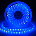 iNextStation 24V Blue LED Strip Light, 32.8ft/10M LED Tape Light SMD2835 600 LEDs Flexible Cuttable LED Light for Bedroom Kitchen Cabinet Bar Festival Home Indoor Decor (No Plug)