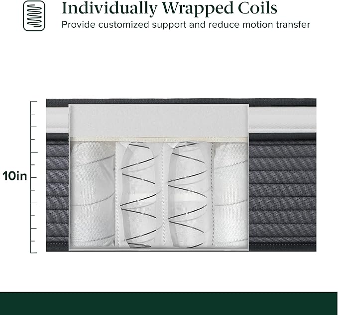 ZINUS 10 Inch True Support Hybrid Mattress [New Version], Queen, Fiberglass Free, Medium Feel, Motion Isolation, Certified Safe Foams & Fabric, Mattress in A Box