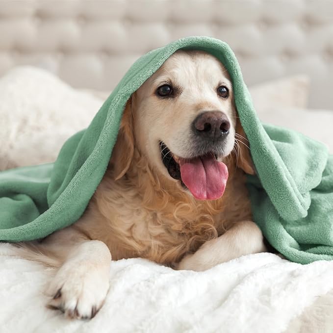 BEDELITE Fleece Blanket Dusty Green Throw Blankets for Couch & Bed, Luxury Plush Cozy Fuzzy Blanket 50" x 60", Super Soft Warm Lightweight Throw Blanket for Travel Camping