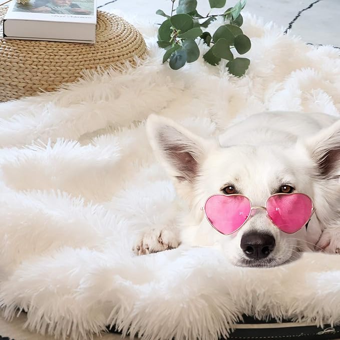 Tuddrom Decorative Extra Soft Faux Fur Blanket Queen Size 80"x90",Solid Reversible Fuzzy Fluffy Plush Fur Blanket for Couch Sofa Bed,Pure White