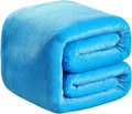Polar Fleece Throw Blankets Travel Size Light Blue for The Bed Extra Soft Brush Fabric Super Warm Sofa Throw Blanket 50" x 61"(Lake Blue Travel)