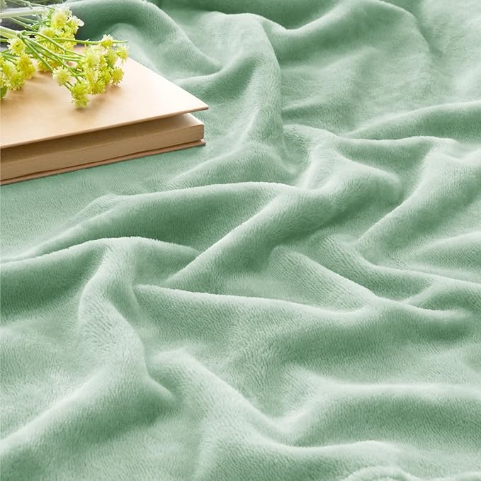 BEDELITE Fleece Blankets Queen Size Mint Green Throw Blankets for Bed, Luxury Plush Cozy Fuzzy Blanket 90x90 inches, Super Soft Warm Lightweight Throw Blanket All Seasons Suitable
