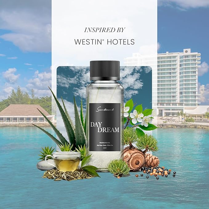 Scentiment Diffuser Oil - Day Dream | Inspired by Luxury Five Star Hotel White Tea Scent | Aromatherapy Home Fragrance| Luxurious Scent with Notes of Aloe Vera, Cedar, White Tea (120 mL)