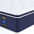 Coolvie Queen Mattress 14 Inch in a Box, Medium Firm Feel Hybrid Queen Size Mattress, CertiPUR-US® Certified Memory Foam&Pocket Spring, Extra Lumbar & Shoulder Support for Pain Relief, 80''L x 60''W