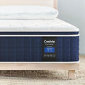 Coolvie Twin Mattress in a Box, Gel Memory Foam Mattress 14 Inch Euro Top Medium Plush Twin Size for Cloud-Like Sleep, Individual Pocket Springs with CertiPUR-US Certified Foam for Pressure Relief