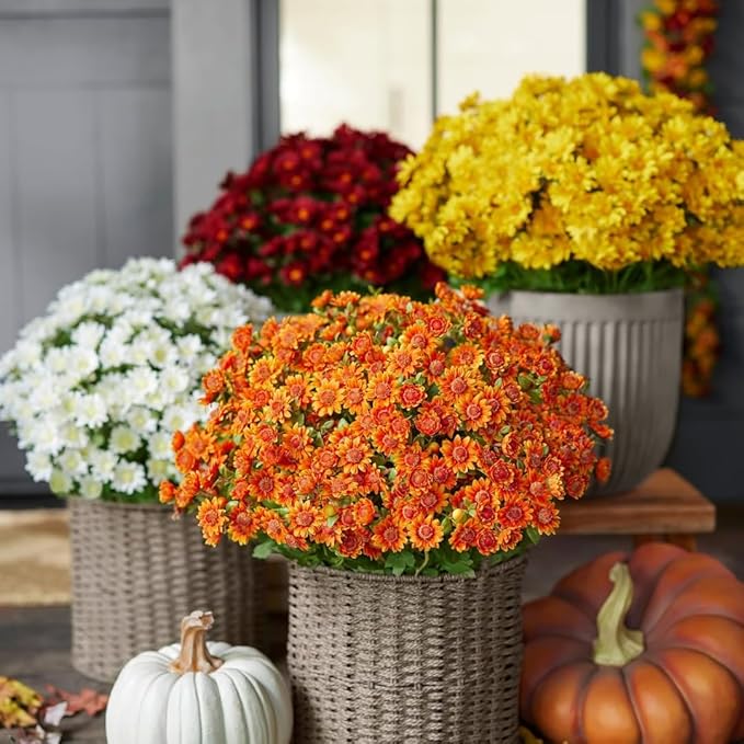 Artificial Mums for Outdoors, Faux Sunset Mum Flowers Planters for Indoor Outside Decor, Fake Look Real, Vibrant, UV Resistant, Waterproof, Windproof (Wine, 5 Bundle)