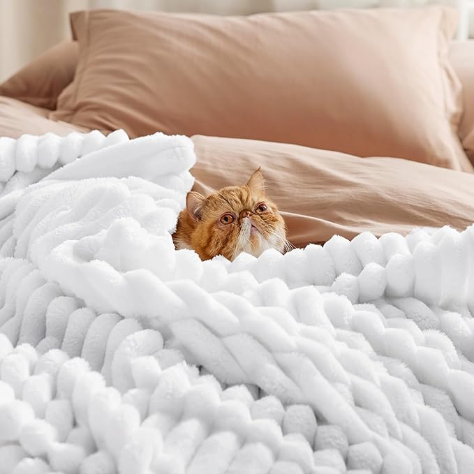 Bedsure GentleSoft King Throw Blanket for Couch - Cozy Soft Blankets for Women, Cute Small Fleece Throws for Girls, White, 108x90 Inches