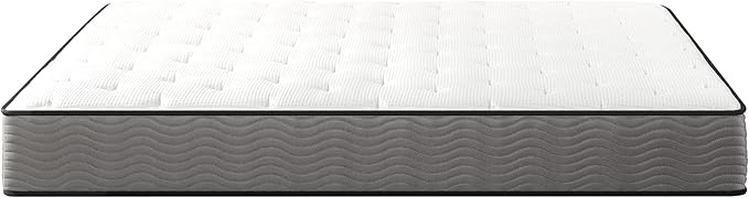 ZINUS 10 Inch Support Plus Pocket Spring Hybrid Mattress, Twin, Strong Coils for Durable Support, Pocket Innersprings for Motion Isolation, Mattress in A Box