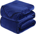 Soft King Size Blanket All Season Warm Fuzzy Microplush Lightweight Thermal Fleece Blankets for Couch Bed Sofa,90x108 Inches,Royal Blue