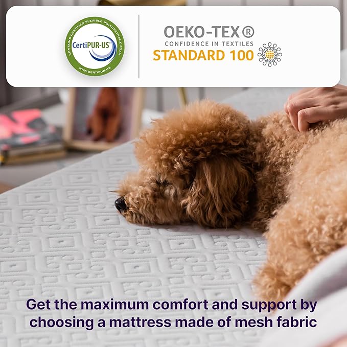 NapQueen Queen Mattress, 8 Inch Elizabeth Cooling Gel Memory Foam Mattress, Queen Bed Mattress in a Box, CertiPUR-US Certified, Medium Firm, Breathable Soft Fabric Cover