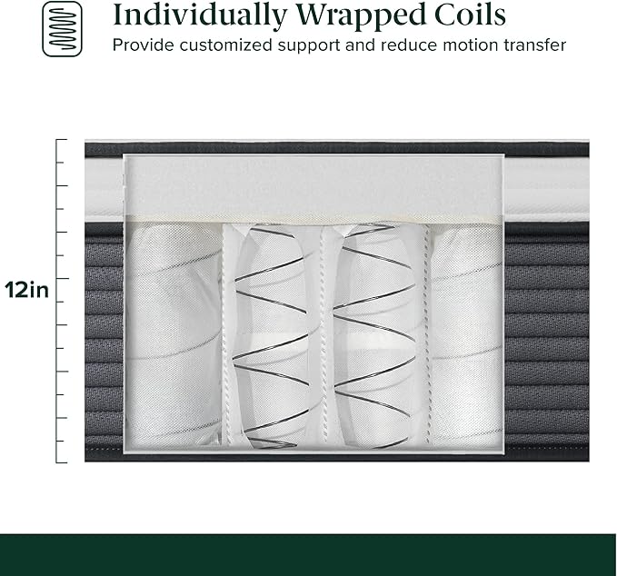 ZINUS 12 Inch True Support Hybrid Mattress [New Version], Twin, Fiberglass Free, Medium Feel, Motion Isolation, Certified Safe Foams & Fabric, Mattress in A Box