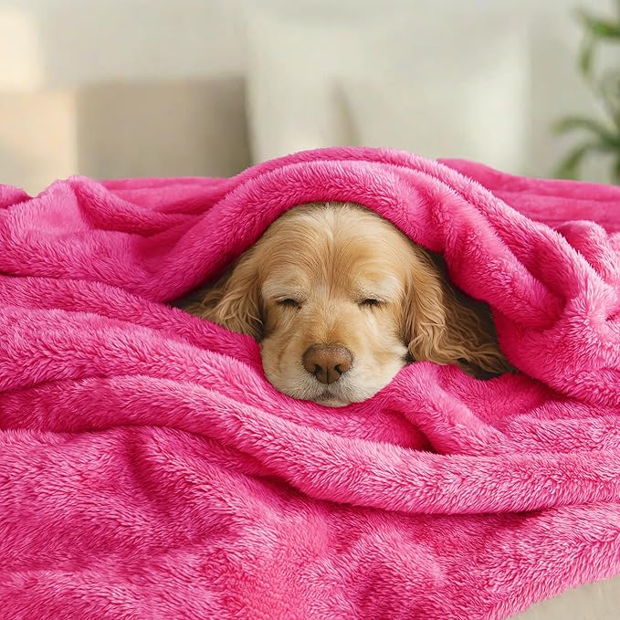 Exclusivo Mezcla Plush Fuzzy Fleece Bed Blanket King Size, Super Soft, Fluffy and Warm Blankets, Suitable for All Seasons (Hot Pink, 90x104 Inches)
