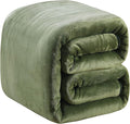 Fleece Blanket Queen Size 350GSM Lightweight Throw for The Bed Extra Soft Brush Fabric Super Warm Sofa Blanket 90" x 90"(Green Queen)
