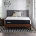 Lucid 12 Inch Memory Foam Mattress - Medium Plush Feel - Infused with Refreshing Bamboo Charcoal and Cooling Gel - Bed in a Box - Temperature Regulating - Pressure Relief - Breathable - Twin XL Size
