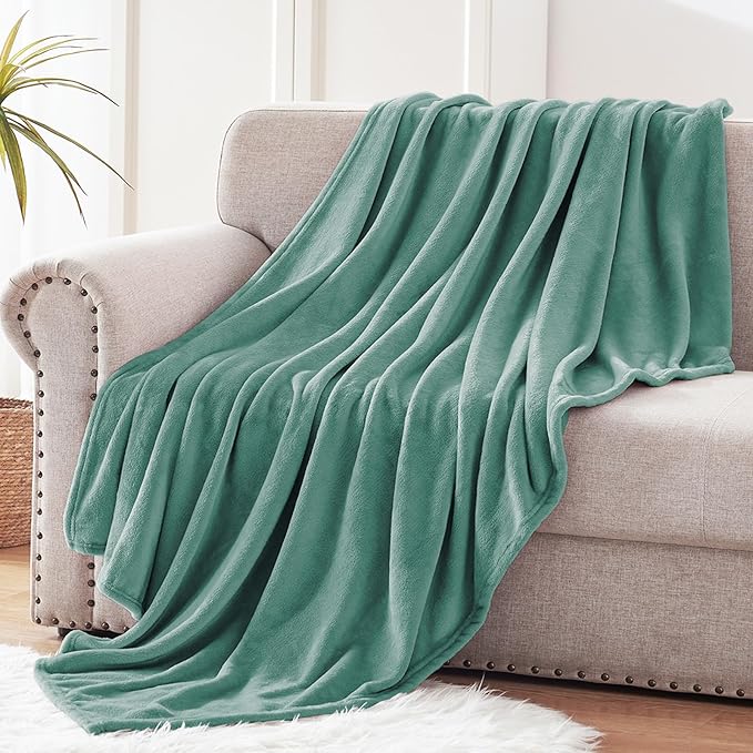 Exclusivo Mezcla Extra Large Fleece Throw Blanket for Couch, Sofa, 300GSM Super Soft and Warm Blankets, Celadon Throw All Season Use, Cozy, Plush, Lightweight, 50x70 Inches