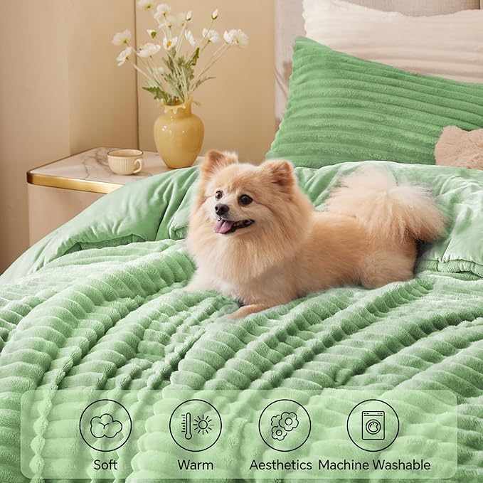 BEDELITE Fleece Queen Comforter Set -Super Soft & Warm Fluffy Green Bedding, Luxury Fuzzy Heavy Bed Set for Winter with 2 Pillow Cases