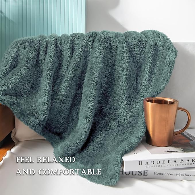 Exclusivo Mezcla Plush Fuzzy Fleece Throw Blanket Extra Large, Super Soft, Fluffy and Warm Blankets for Couch, Bed, Suitable for All Seasons (50x70 Inches, Celadon)