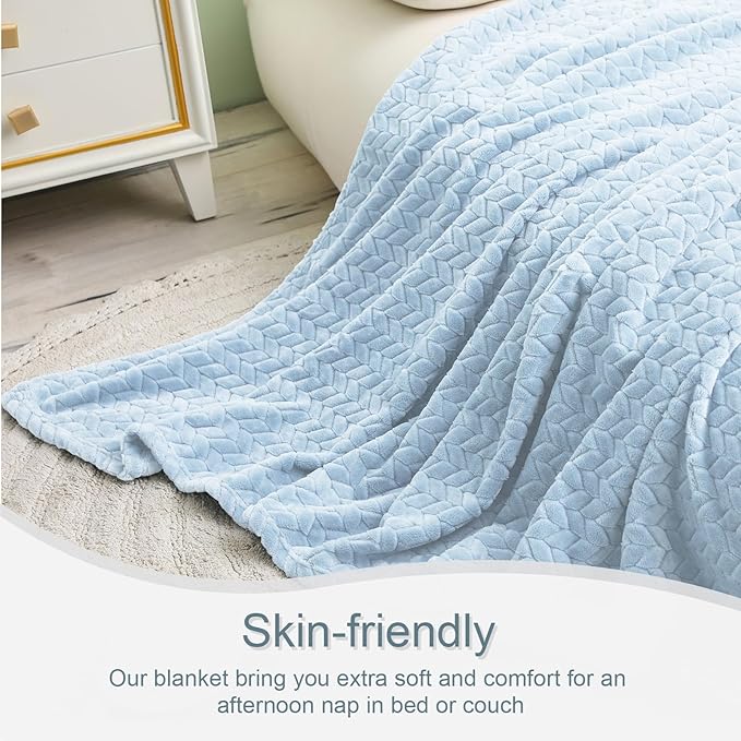 Exclusivo Mezcla Fleece Queen Size Blanket for Bed, 90x90 Inches Soft Cozy Jacquard Flannel Blankets, Lightweight Fuzzy Plush Warm for Winter, Light Blue
