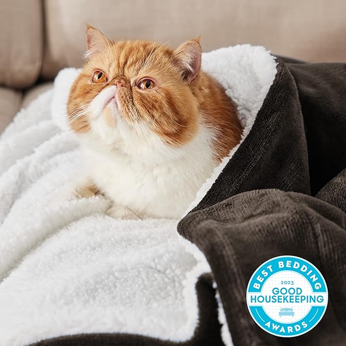 Bedsure GentleSoft Sherpa Fleece Throw Blanket for Couch - Thick and Warm Throw for Women and Men, Soft Fuzzy Plush Blanket for Winter, Brown, 50x60 Inches