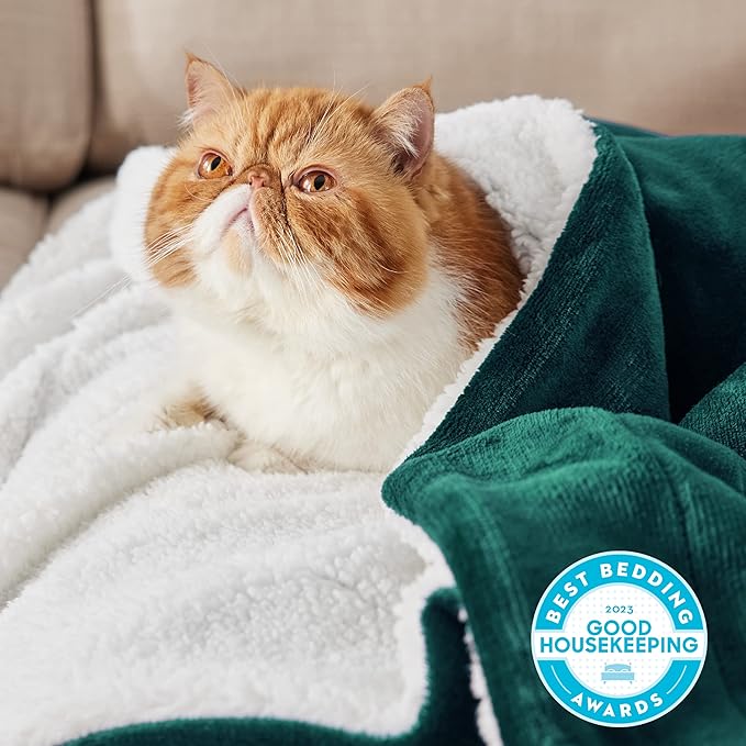 Bedsure GentleSoft Sherpa Fleece Blankets King Size for Bed - Thick and Warm Throw for Women and Men, Soft Fuzzy Plush King Christmas Blanket for Winter, Forest Green, 108x90 Inches