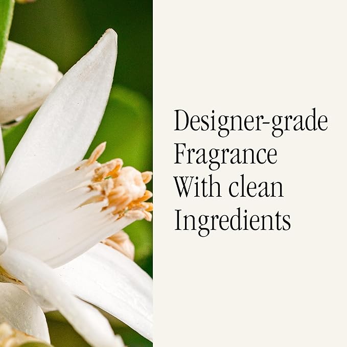 Pura & Unify Co. Home Scent Refill - Smart Home Air Diffuser - Up to 120-Hours of Luxury Fragrance per Refill - Spring & Summer Fragrance - 2 Pack, Sun