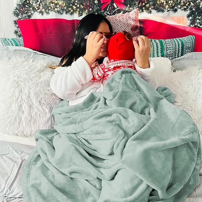 Bedsure GentleSoft Sage Green Fleece Blankets Queen Size - 280GSM Soft Lightweight Plush Cozy Blanket for Bed, Sofa, Couch, Travel, Camping