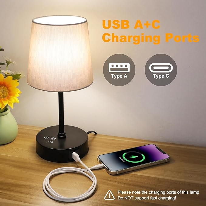 Ascher Small Bedside Table lamp, RGB Color Changing Lamps, 3 Color Temperatures Nightstand Lamps with USB C and A Ports, Touch Dimmable Desk Lamp for Bedroom Living Room(Grey Shade)
