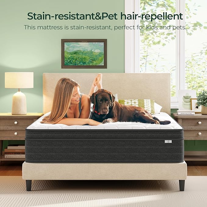 koorlian 12 Inch Full Size Mattress in a Box for Back Pain, Medium Firm Feel Fiberglass Free Hybrid Mattress with Individual Pocket Springs and Pressure-Relieving Memory Foam, 120-Night Trial