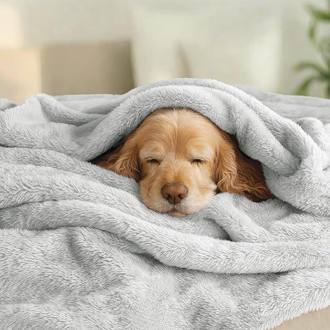 Exclusivo Mezcla Plush Fuzzy Fleece Bed Blanket Twin Size, Super Soft, Fluffy and Warm Blankets, Suitable for All Seasons (Light Grey, 90x66 Inches)