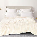 Exclusivo Mezcla Plush Fuzzy Fleece Bed Blanket Queen Size, Super Soft, Fluffy and Warm Blankets Suitable for All Seasons (Ivory, 90x90 Inches)