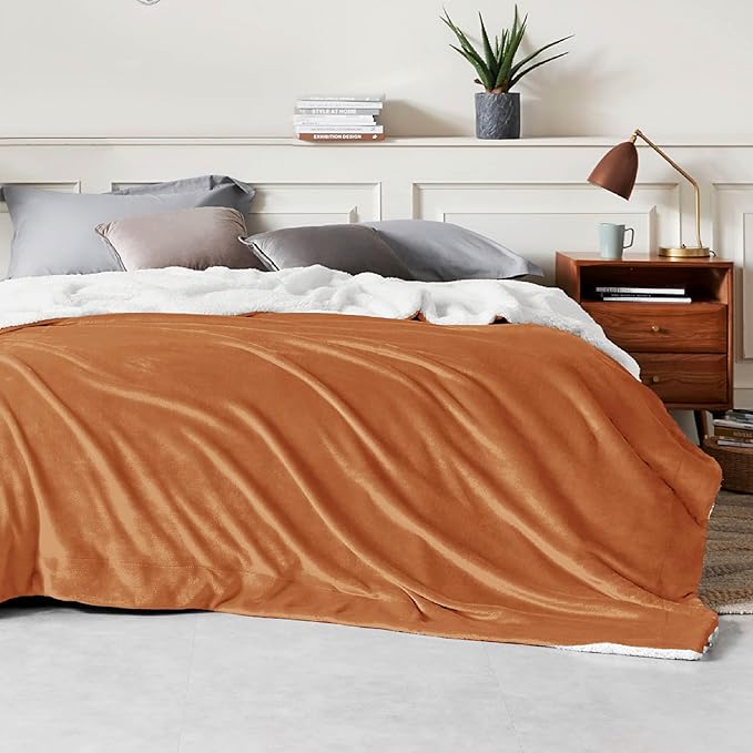 Bedsure GentleSoft Sherpa Fleece Blankets Queen Size for Bed - Thick and Warm Throw for Women and Men, Soft Fuzzy Plush Queen Blanket for Winter, Burnt Orange, 90x90 Inches