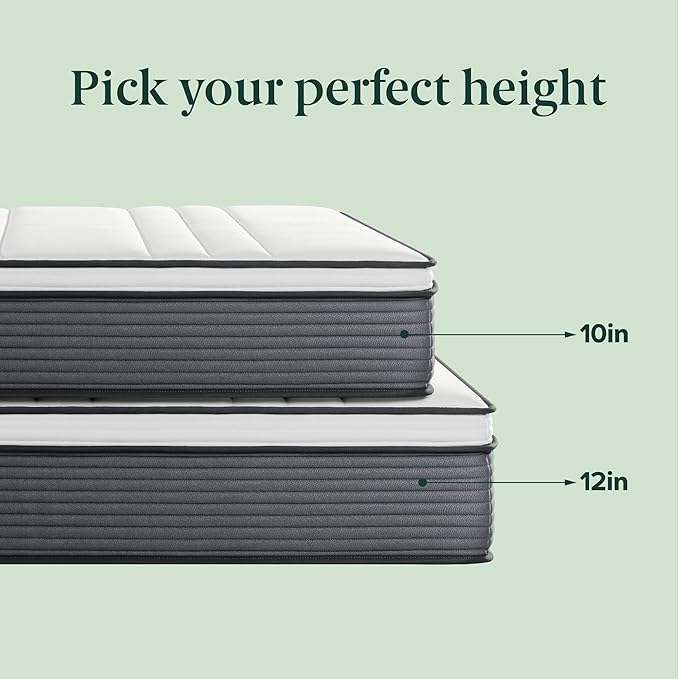 ZINUS 10 Inch True Support Hybrid Mattress [New Version], Twin, Fiberglass Free, Medium Feel, Motion Isolation, Certified Safe Foams & Fabric, Mattress in A Box
