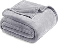 Exclusivo Mezcla Fleece Blanket Twin Size for Bed, Super Soft and Warm, All Season Use, Cozy, Plush, Lightweight, 60x80 Inches Light Grey